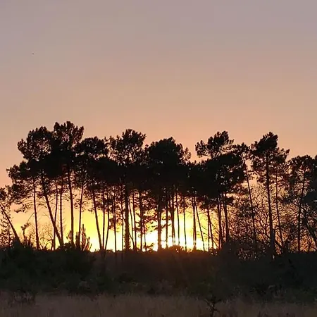 Maison Bois Neuve Confort, Au Calme